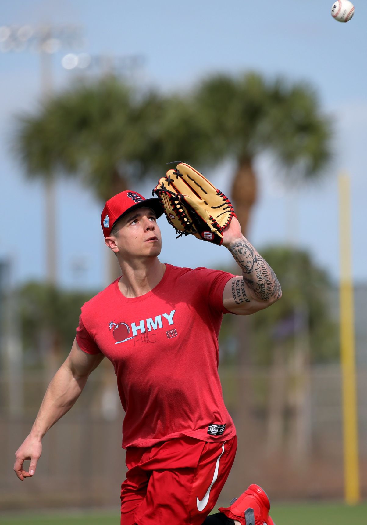 Cardinals spring training continues
